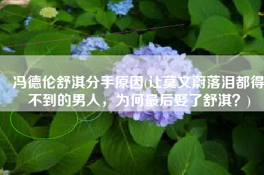 冯德伦舒淇分手原因(让莫文蔚落泪都得不到的男人，为何最后娶了舒淇？)
