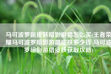 马可波罗新皮肤暗影游猎怎么买(王者荣耀马可波罗暗影游猎皮肤多少钱 马可波罗暗影游猎皮肤获取攻略)
