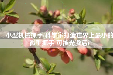 小型机械抓手(科学家打造世界上最小的微型抓手 可被光激活)