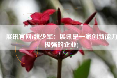 展讯官网(魏少军：展讯是一家创新能力极强的企业)
