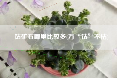 钴矿石哪里比较多(万“钴”不枯)