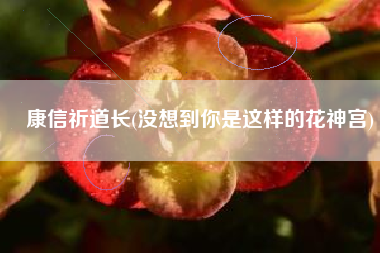 康信祈道长(没想到你是这样的花神宫)