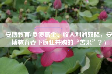 安博教育(负债高企、收入利润双降，安博教育吞下疯狂并购的“苦果”？)