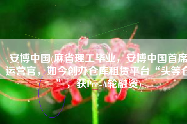 安博中国(麻省理工毕业，安博中国首席运营官，如今创办仓库租赁平台“头等仓”，获Pre-A轮融资)