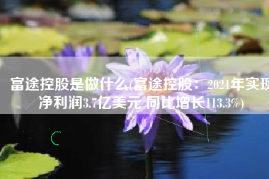 富途控股是做什么(富途控股：2021年实现净利润3.7亿美元 同比增长113.3%)