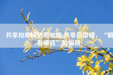共享按摩椅招商加盟(共享按摩椅，“躺着赚钱”的骗局)