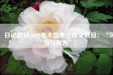 日记题目(2021年全国卷三作文题目：“可为与有为”)