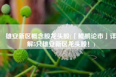 雄安新区概念股龙头股(「鲲鹏论市」详解5只雄安新区龙头股！)