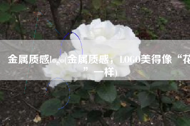 金属质感logo(金属质感，LOGO美得像“花”一样)