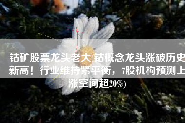 钴矿股票龙头老大(钴概念龙头涨破历史新高！行业维持紧平衡，7股机构预测上涨空间超20%)