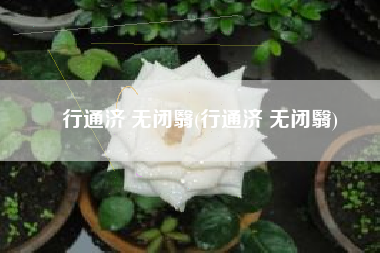 行通济 无闭翳(行通济 无闭翳)