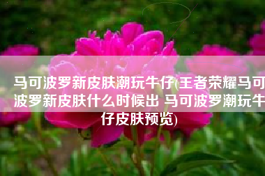 马可波罗新皮肤潮玩牛仔(王者荣耀马可波罗新皮肤什么时候出 马可波罗潮玩牛仔皮肤预览)