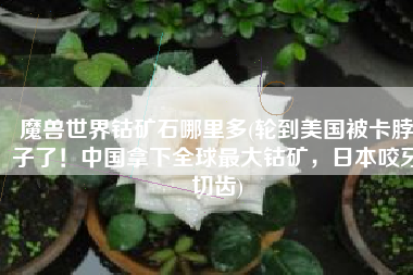 魔兽世界钴矿石哪里多(轮到美国被卡脖子了！中国拿下全球最大钴矿，日本咬牙切齿)