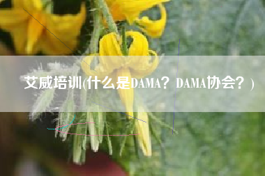 艾威培训(什么是DAMA？DAMA协会？)