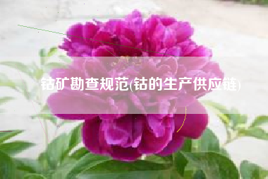 钴矿勘查规范(钴的生产供应链)