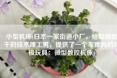 小型机床(日本一家街道小厂，给聪明能干的技术理工男，提供了一个车库内的终极玩具：微型数控机床)