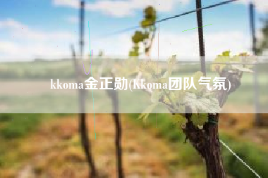 kkoma金正勋(Kkoma团队气氛)