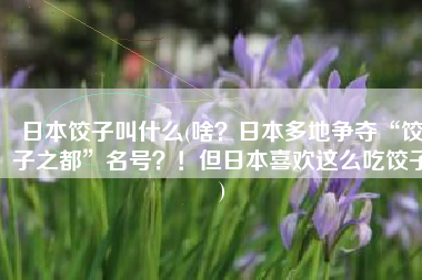 日本饺子叫什么(啥？日本多地争夺“饺子之都”名号？！但日本喜欢这么吃饺子)