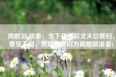 周思羽(故事：生下孩子后丈夫总晚归，察觉不对，我暗地想招为离婚做准备)