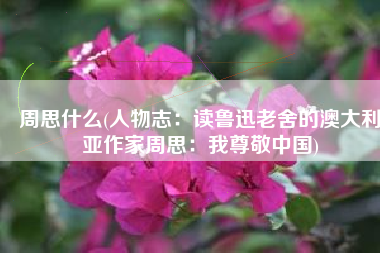 周思什么(人物志：读鲁迅老舍的澳大利亚作家周思：我尊敬中国)