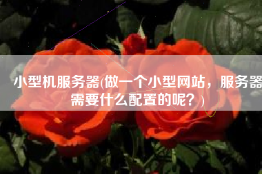 小型机服务器(做一个小型网站，服务器需要什么配置的呢？)