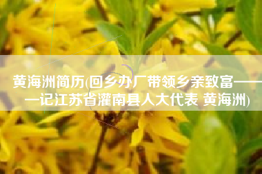 黄海洲简历(回乡办厂带领乡亲致富———记江苏省灌南县人大代表 黄海洲)