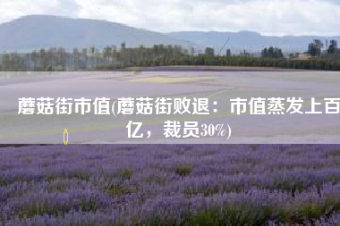 蘑菇街市值(蘑菇街败退：市值蒸发上百亿，裁员30%)