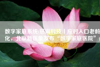 数字家庭系统(慈海科技丨应对人口老龄化，北京新医象发布“数字家庭医院”)
