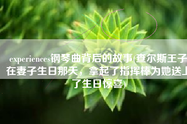 experiences钢琴曲背后的故事(查尔斯王子在妻子生日那天，拿起了指挥棒为她送上了生日惊喜)