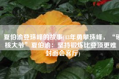 夏伯渝登珠峰的故事(43年勇攀珠峰，“硬核大爷”夏伯渝：坚持锻炼比登顶更难丨封面会客厅)