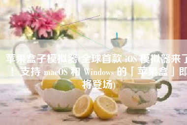 苹果盒子模拟器(全球首款 iOS 模拟器来了！支持 macOS 和 Windows 的「苹果盒」即将登场)
