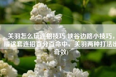 关羽怎么玩连招技巧(峡谷边路小技巧，曜这套连招百分百命中，关羽两种打法出奇效)