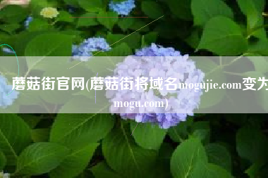蘑菇街官网(蘑菇街将域名mogujie.com变为mogu.com)