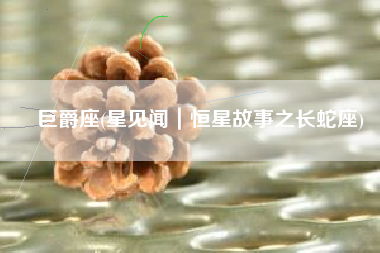 巨爵座(星见闻｜恒星故事之长蛇座)