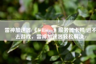 雷神加速器(《V Rising》服务器卡顿/进不去游戏，雷神加速器轻松解决)