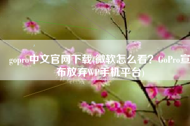 gopro中文官网下载(微软怎么看？GoPro宣布放弃WP手机平台)