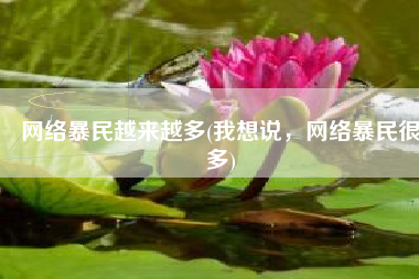网络暴民越来越多(我想说，网络暴民很多)