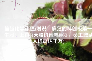 信越化学市值(财说｜疯狂的科创板第一牛股：上市44天股价涨幅805%，员工激励人均高达千万)