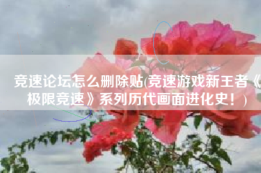 竞速论坛怎么删除贴(竞速游戏新王者《极限竞速》系列历代画面进化史！)