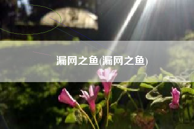 漏网之鱼(漏网之鱼)