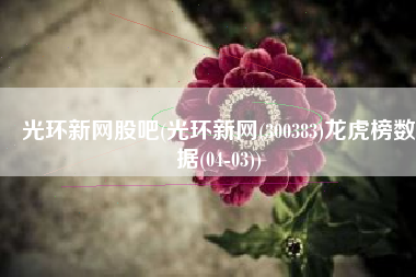 光环新网股吧(光环新网(300383)龙虎榜数据(04-03))