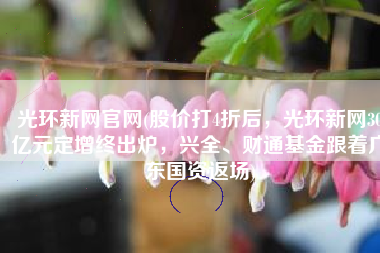 光环新网官网(股价打4折后，光环新网30亿元定增终出炉，兴全、财通基金跟着广东国资返场)