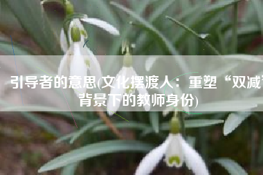 引导者的意思(文化摆渡人：重塑“双减”背景下的教师身份)