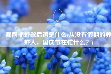漏网捕虾歇后语是什么(从没有假期的养虾人，国庆节在忙什么？)