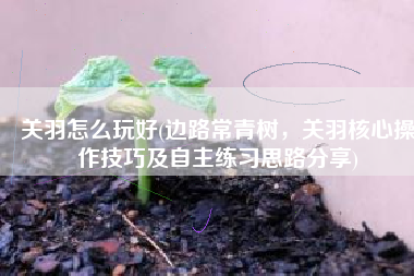 关羽怎么玩好(边路常青树，关羽核心操作技巧及自主练习思路分享)