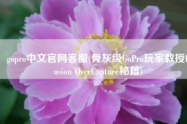 gopro中文官网客服(骨灰级GoPro玩家教授Fusion OverCapture秘籍)