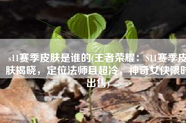 s11赛季皮肤是谁的(王者荣耀：S11赛季皮肤揭晓，定位法师且超冷，神奇女侠限时出售)