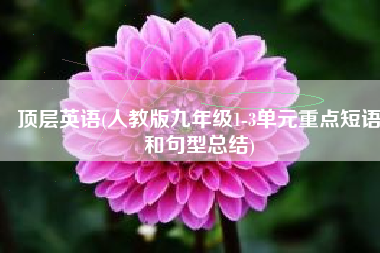 顶层英语(人教版九年级1-3单元重点短语和句型总结)