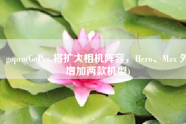 gopro(GoPro 将扩大相机阵容，Hero、Max 外增加两款机型)
