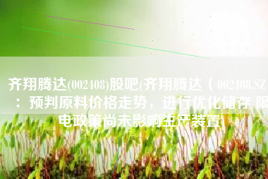 齐翔腾达(002408)股吧(齐翔腾达（002408.SZ）：预判原料价格走势，进行优化储存 限电政策尚未影响生产装置)